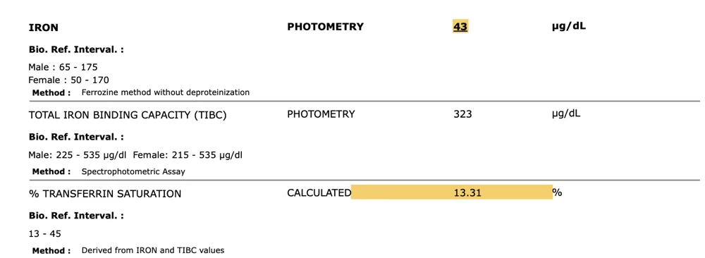 Hitakkshi iron before