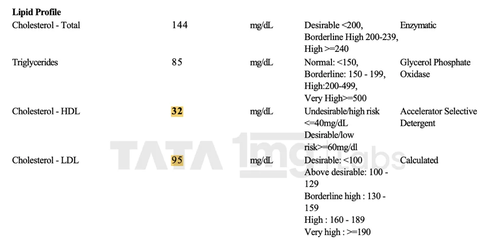 Kshitiz lipid before