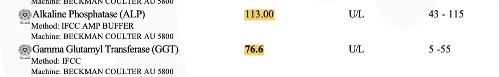 Kshitij liver before